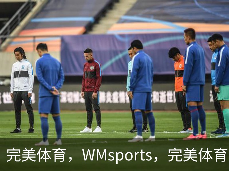 完美体育，WMsports，完美体育官方，完美体育平台，完美体育下载概况